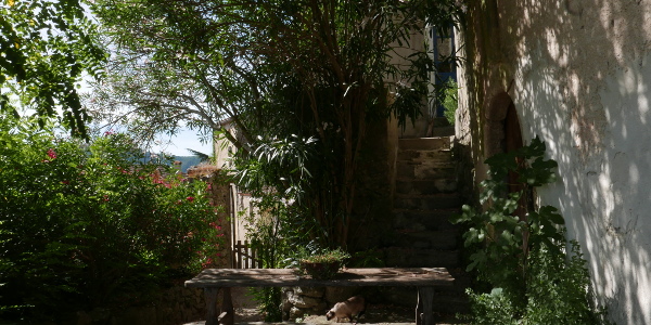 gallery_garden_six