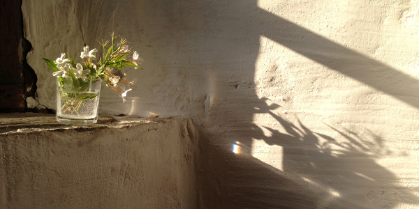 gallery_garden_one