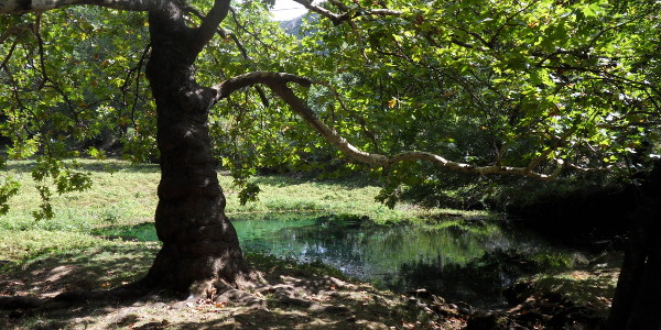gallery_garden_two