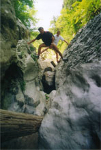Trekking