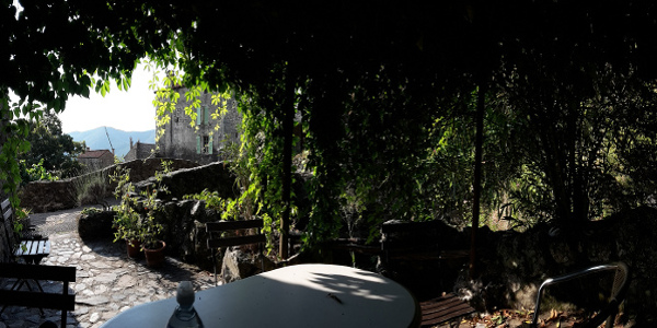 gallery_garden_six